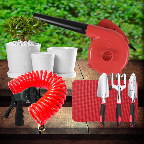 PLANT IT OR POT IT
