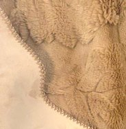 Kendra Bedding Collection — Badgley Mischka New York bedding (view 3)